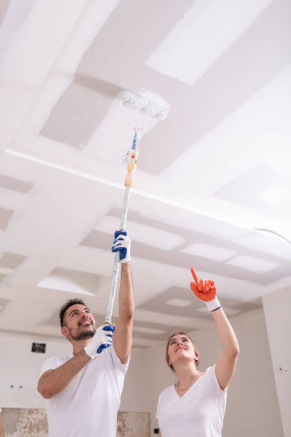 Mold Odor Removal Services in Gretna, LA